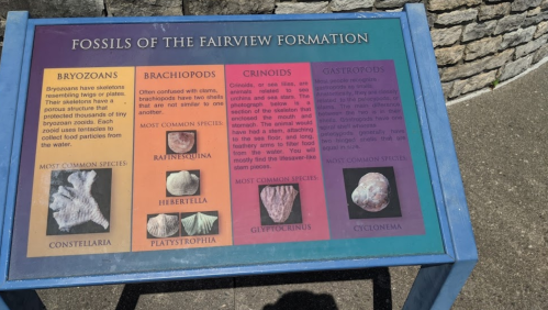 Sign displaying information about fossils from the Fairview Formation, including bryozoans, brachiopods, crinoids, and gastropods.