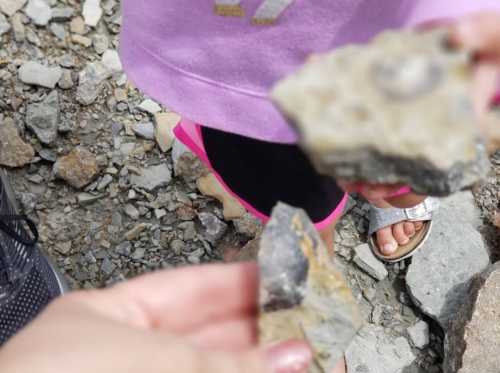 A child's hands hold two pieces of rock, with a blurred background of gravel and feet.
