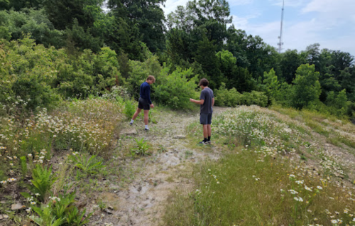 Two people stand on a grassy hillside with wildflowers, surrounded by trees and a communication tower in the background.