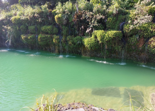 A serene green pond surrounded by lush moss-covered rocks and gentle waterfalls.