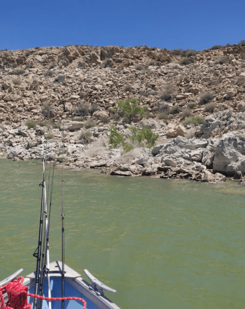 A boat with fishing rods on the water, surrounded by rocky terrain and greenish water under a clear blue sky.