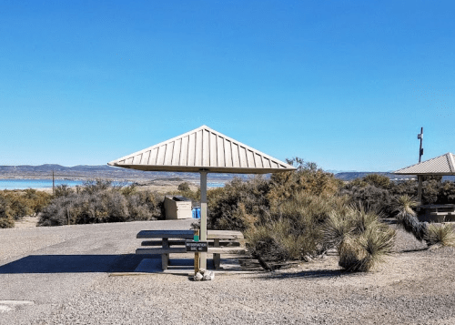 A shaded picnic area with a metal roof, surrounded by shrubs and a view of a lake under a clear blue sky.