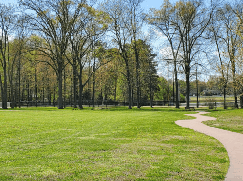 A winding path through a lush green park with tall trees and a clear blue sky.