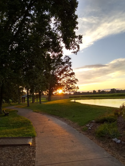 A serene park path lined with trees, leading to a sunset over a calm pond.