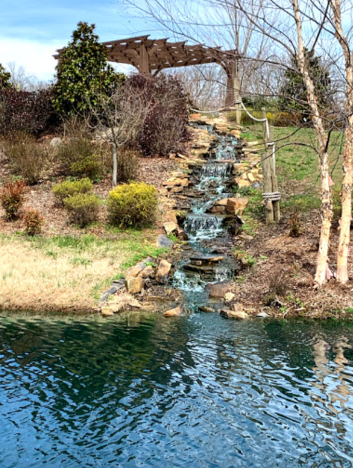 A serene landscape featuring a small waterfall cascading down rocks into a calm pond, surrounded by greenery.