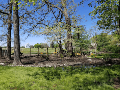 A sunny outdoor scene with trees, a grassy area, and a garden with flowers, set against a clear blue sky.