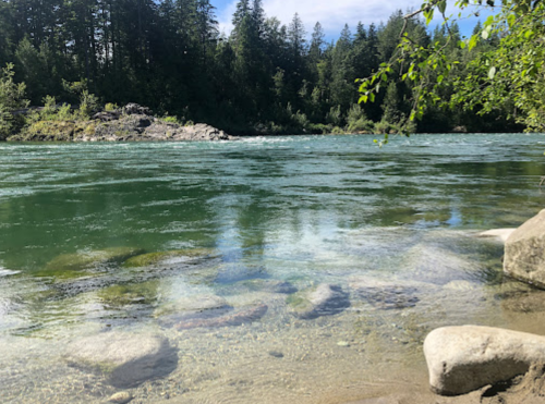 A serene river scene with clear water, rocky banks, and lush green trees lining the shore under a blue sky.