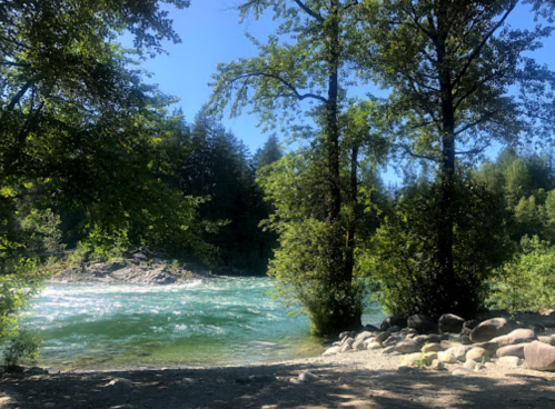 A serene river scene surrounded by lush green trees and rocky banks under a clear blue sky.