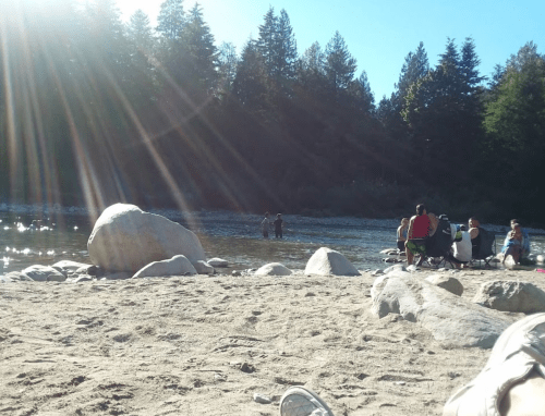 A sandy riverbank with people enjoying the water, surrounded by trees and sunlight streaming through.