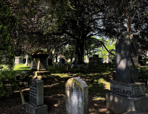 A serene cemetery scene with gravestones under the shade of large trees, dappled sunlight filtering through the leaves.