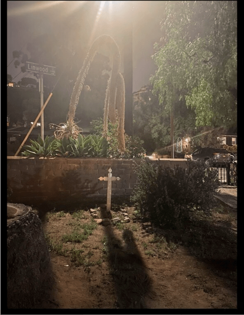 A dimly lit scene featuring a cross and a tall plant casting shadows near a street sign for Linwood.