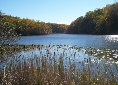 A serene lake surrounded by trees with autumn foliage, reflecting blue skies and sunlight on the water's surface.