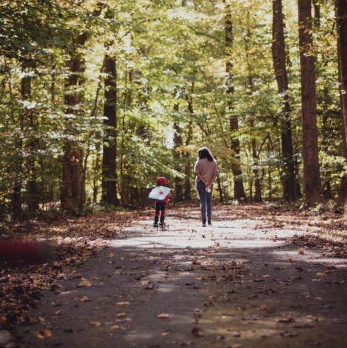 A woman and a child walk down a sunlit path in a forest, surrounded by trees with autumn leaves.