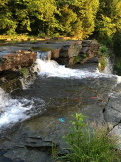 A serene waterfall cascading over rocky ledges, surrounded by lush green trees and foliage.