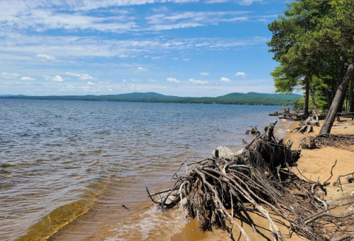 A serene lakeside view with sandy shore, driftwood, and distant mountains under a blue sky with scattered clouds.