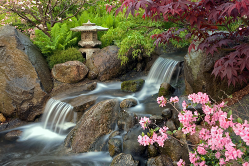 A serene garden scene featuring a flowing stream, rocks, a lantern, ferns, and pink flowers in bloom.