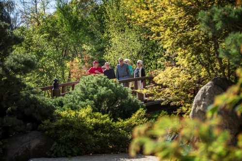A group of people stands on a bridge in a lush, green park, surrounded by trees and plants.