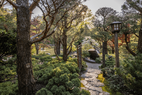 A serene garden path lined with trees and shrubs, leading to a tranquil pond in soft, warm light.