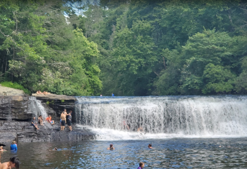 People swimming and playing near a waterfall surrounded by lush green trees on a sunny day.