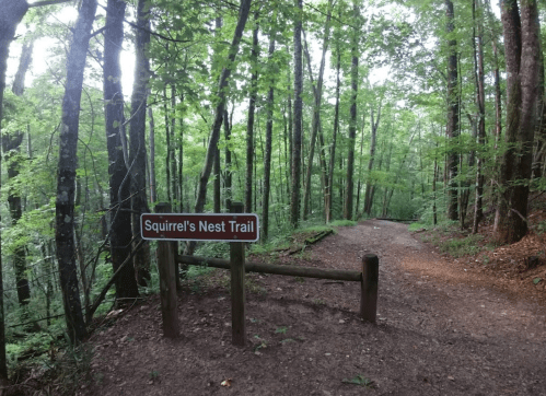 A wooded trail sign reading "Squirrel's Nest Trail" amidst lush green trees and a dirt path.