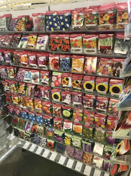 A colorful display of various flower seed packets arranged on shelves in a store.