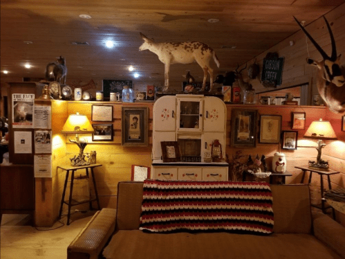 Cozy interior of a rustic room with wooden walls, vintage decor, a sofa, and various mounted animal displays.