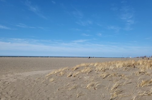 A sandy beach under a clear blue sky, with sparse grass and distant figures walking along the shore.