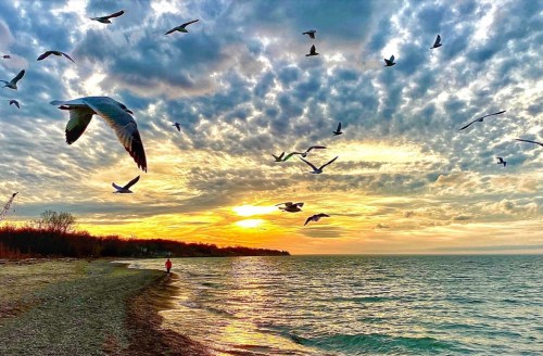 A serene sunset over a lake, with birds flying and a person walking along the shore. Cloudy sky adds to the beauty.