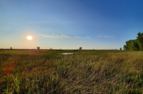 A serene landscape featuring tall grass, a calm pond, and a sunset over a wide, open field.