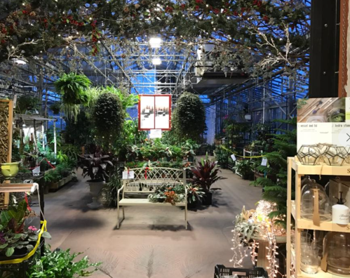 A lush greenhouse filled with various plants, benches, and decorative elements under soft lighting.