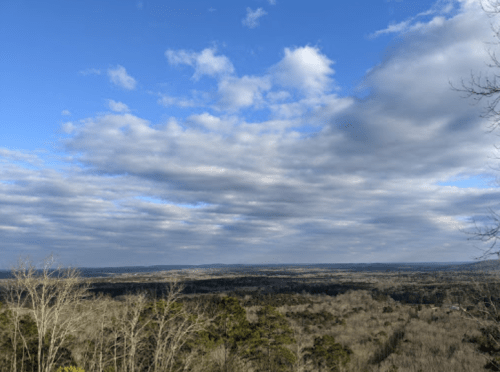 A panoramic view of a landscape with bare trees under a cloudy blue sky.