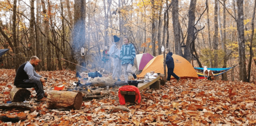 A group of people camping in a forest with tents, a campfire, and autumn leaves scattered on the ground.