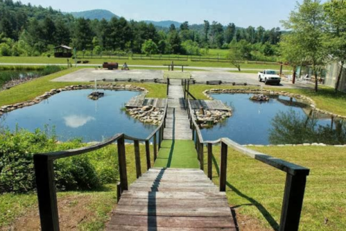 A wooden staircase leads down to a serene pond area with stone borders and lush greenery in the background.