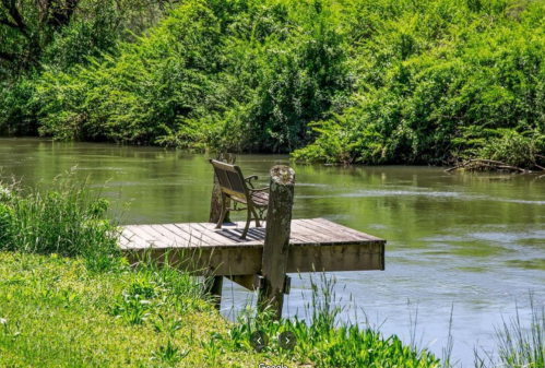 A wooden bench on a dock overlooking a calm river, surrounded by lush greenery.