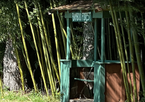 A small wooden structure labeled "Bamboo Forest" surrounded by tall bamboo stalks.