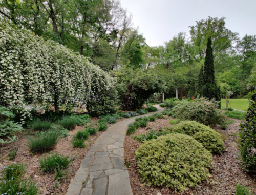 A winding stone path through a lush garden with flowering shrubs and greenery on either side.