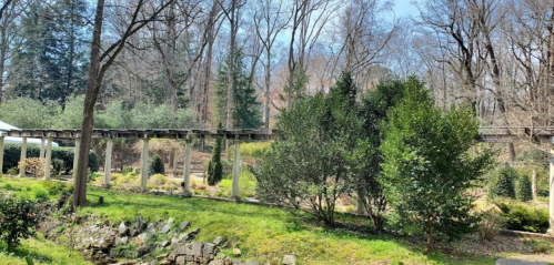 A serene landscape featuring trees, greenery, and a raised walkway in a park setting on a sunny day.