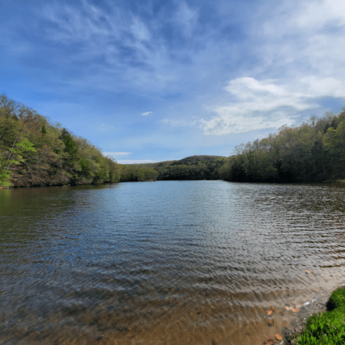 A serene lake surrounded by lush green trees under a partly cloudy sky.