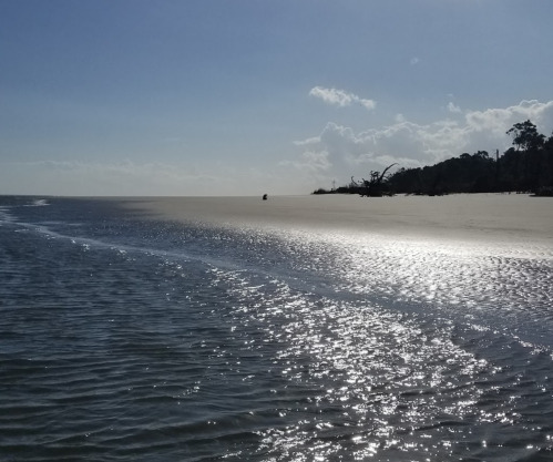 A serene beach scene with gentle waves reflecting sunlight under a clear blue sky and distant trees.