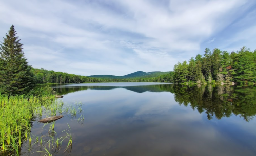 A serene lake surrounded by lush greenery and mountains, reflecting the sky and trees in calm waters.