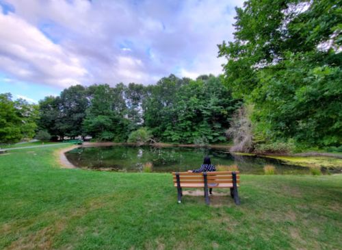 A person sits on a bench by a serene pond surrounded by lush greenery and trees under a partly cloudy sky.