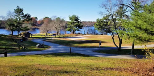 A serene lakeside view with trees, a grassy area, and a winding path under a clear blue sky.