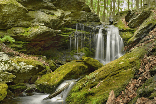 A serene waterfall cascades over moss-covered rocks in a lush, green forest.