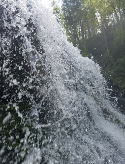 A close-up of cascading water from a waterfall, with sunlight filtering through lush green trees in the background.