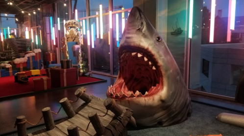 A large, realistic shark sculpture with an open mouth, set in a colorful, playful indoor environment.