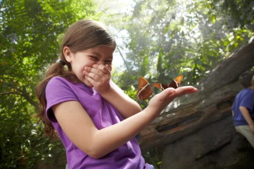 A girl in a purple shirt smiles and laughs while holding her hand out to butterflies in a lush, green environment.