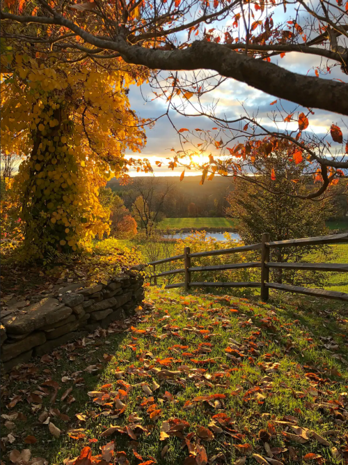 A serene landscape at sunset, featuring vibrant autumn leaves, a pond, and a wooden fence.