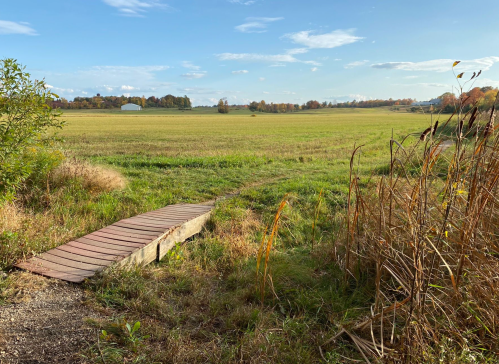 A wooden path leads through a grassy field under a clear blue sky, with trees and distant hills in the background.