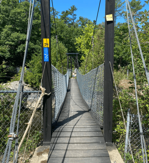 A narrow suspension bridge surrounded by trees, leading into a sunny, green landscape.