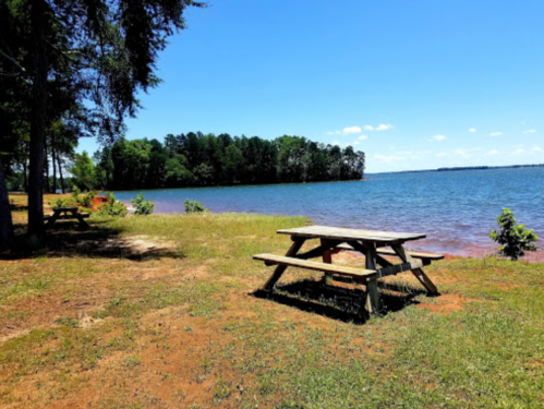 A picnic table by a lake, surrounded by trees and a clear blue sky, with calm water and green shoreline in the background.